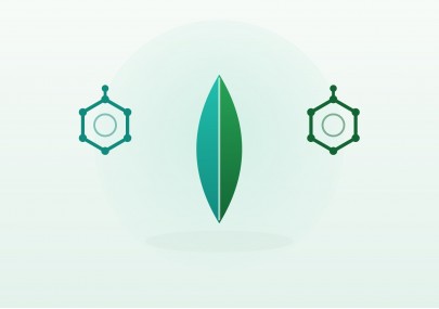 Les formats de CBD en 2026 : trouver celui qui vous ressemble